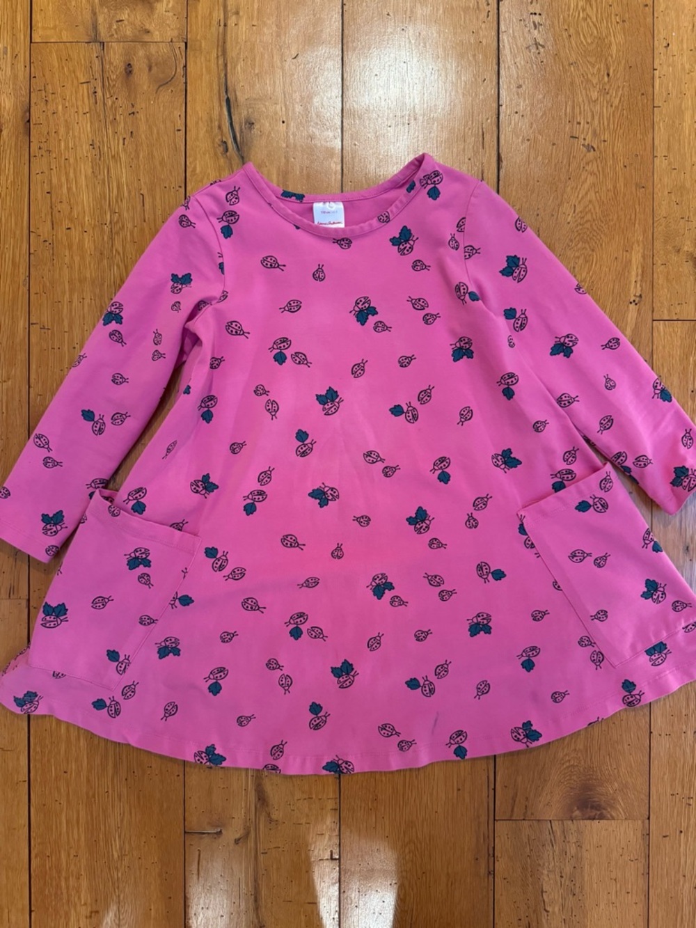 Hanna skater dress with pockets
